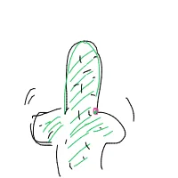 dancing cactus