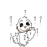 confused owl