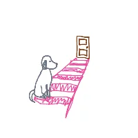 dog waiting at door