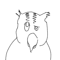confused owl