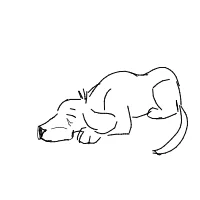 sleepy dog