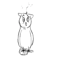 confused owl