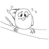 confused owl