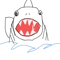 great white shark