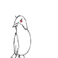 angry bird