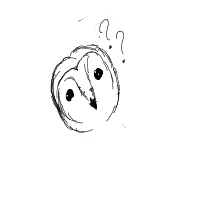 confused owl