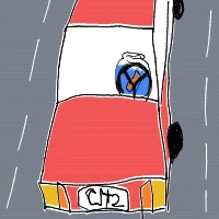 goldfish driving car