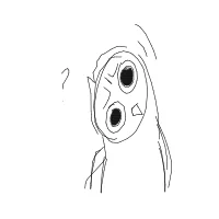 confused owl