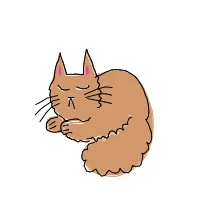 sleeping cat