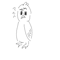 confused owl