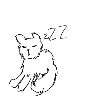 sleeping cat