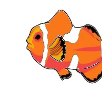 clownfish