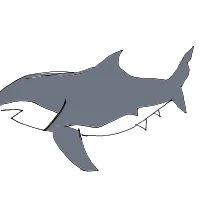great white shark